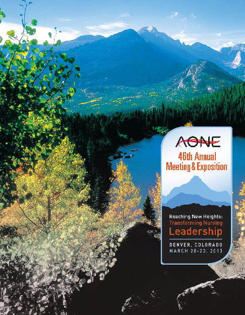 AONE 2013 Conference Brochure Design