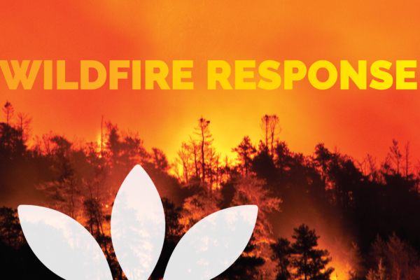 NEHA Wildfire Response guide design by Hughes Design Communications in Chicago