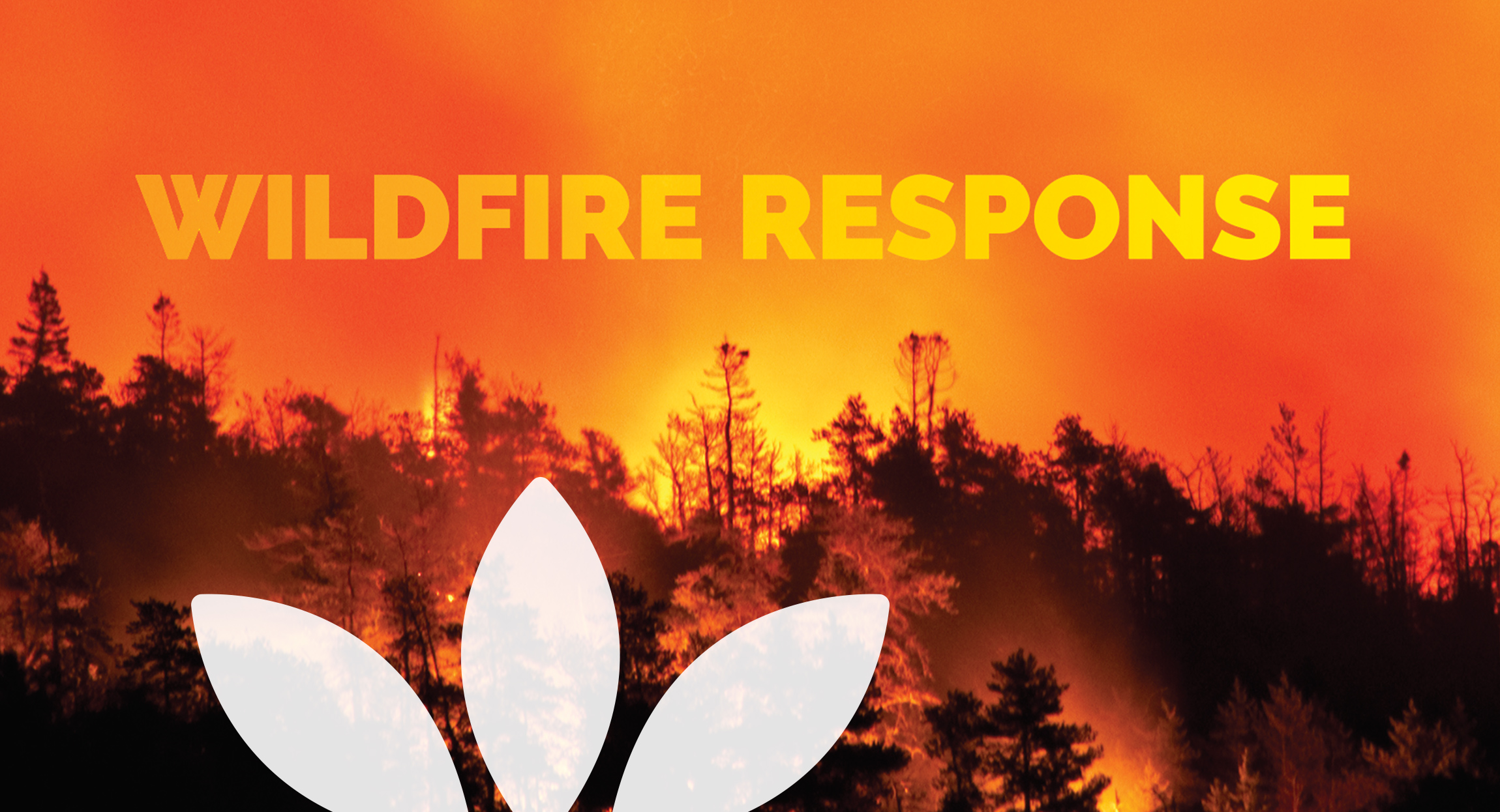 NEHA Wildfire Response guide design by Hughes Design Communications in Chicago