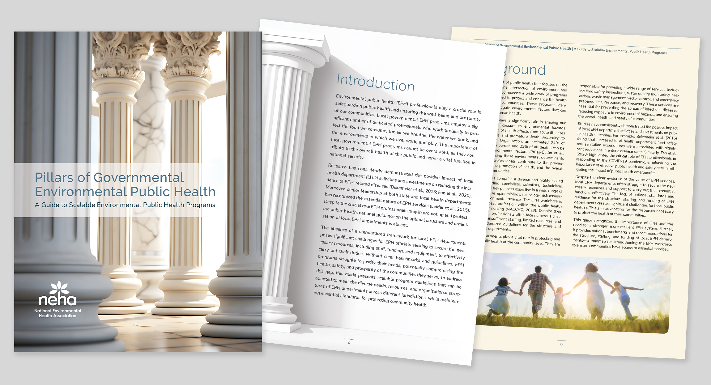 Report layout for Pillars of Environmental Public Health for National Environmental Health Association