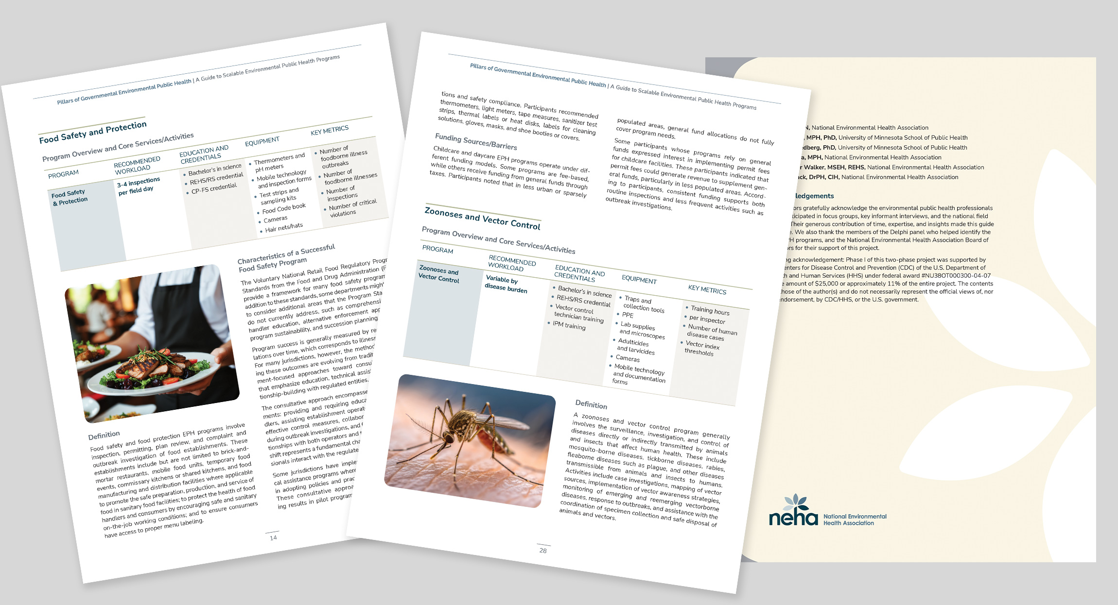 Report layout for Pillars of Environmental Public Health for National Environmental Health Association, graphic design by Hughes Design Communications